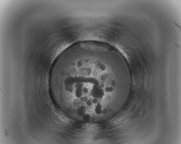 X0000097510487200802291622