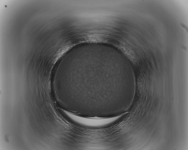 X0000097510488200802291622