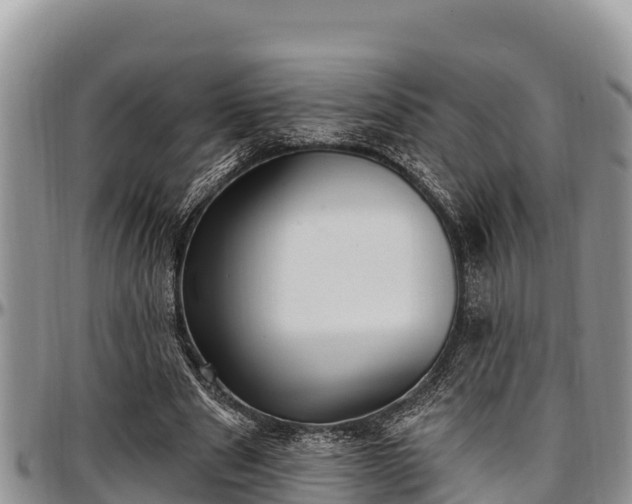 X0000097510489200802291622