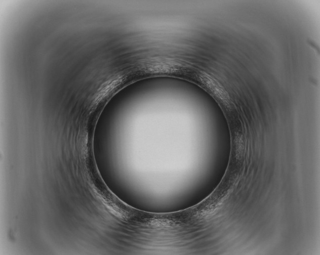 X0000097510490200802291622