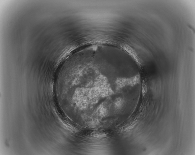 X0000097510491200802291622