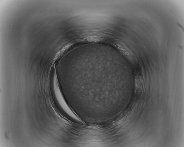 X0000097510492200802291622