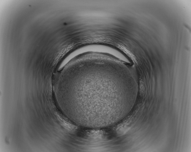 X0000097510493200802291622