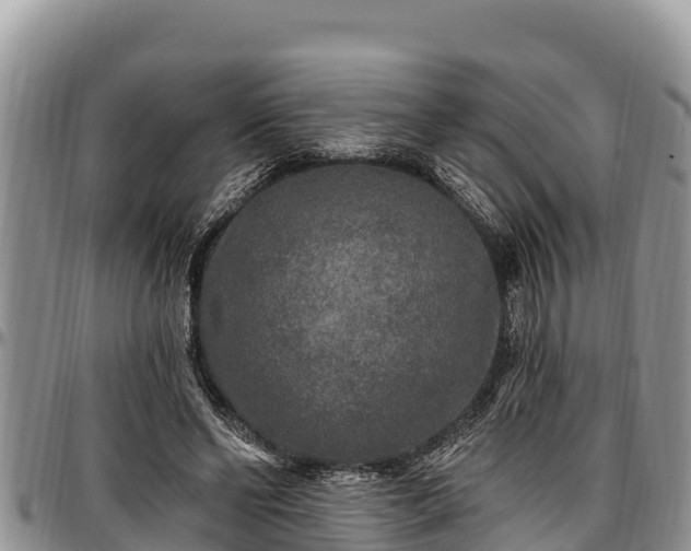 X0000097510494200802291621