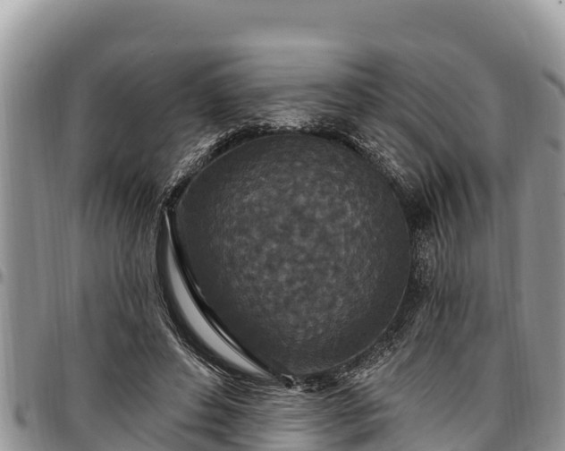 X0000097510496200802291621