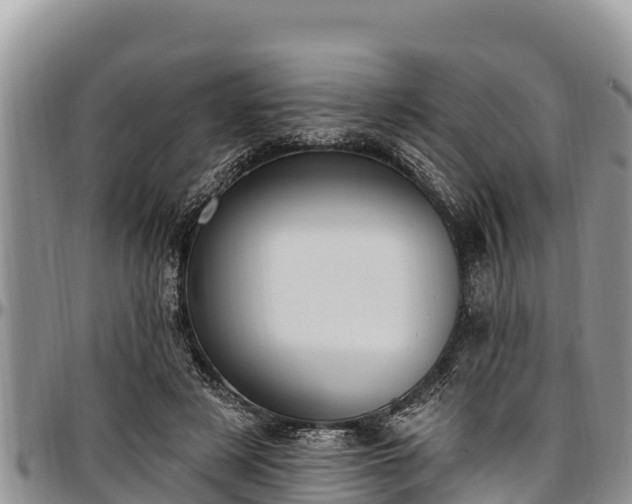 X0000097510497200802291621