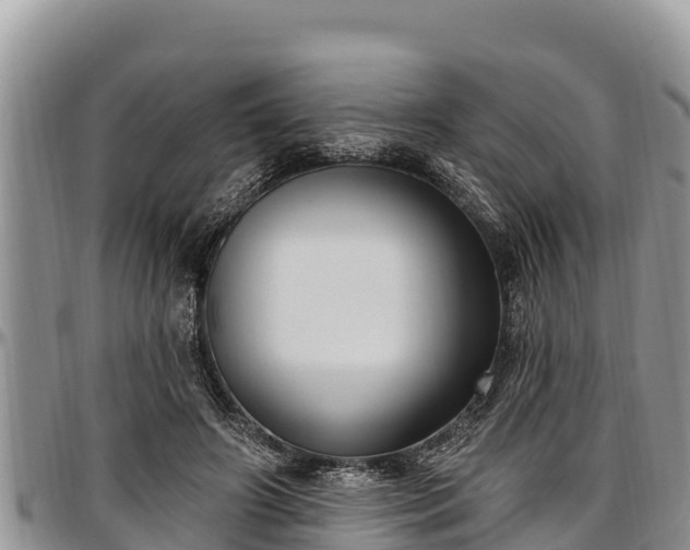 X0000097510498200802291621