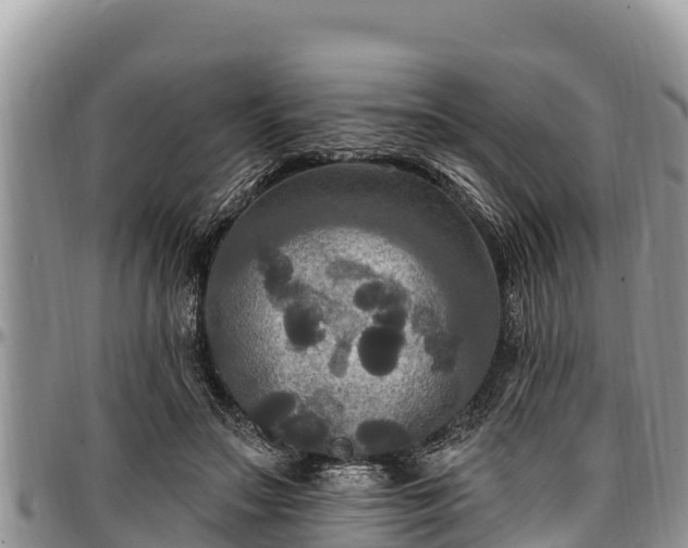 X0000097510499200802291621