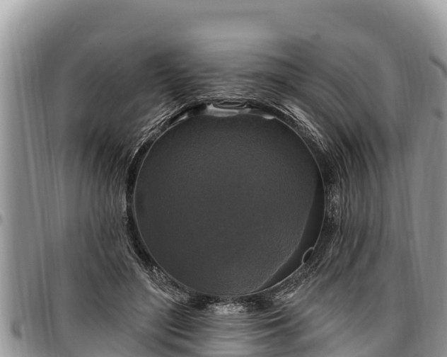 X0000097510500200802291621