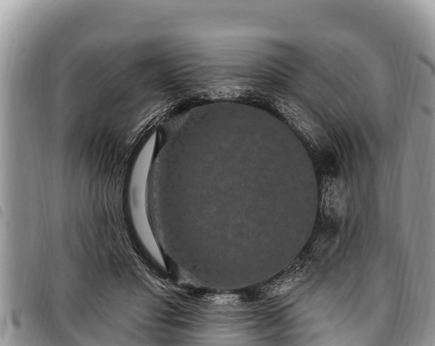 X0000097510501200802291621