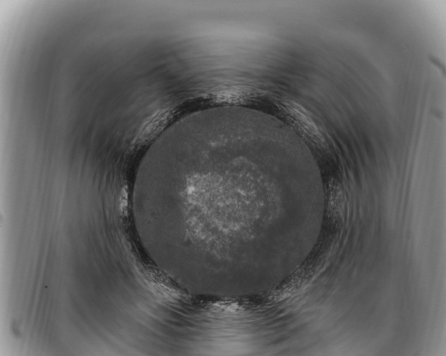 X0000097510502200802291621