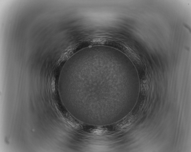 X0000097510504200802291621