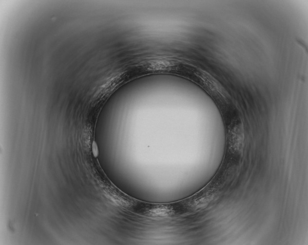 X0000097510505200802291621