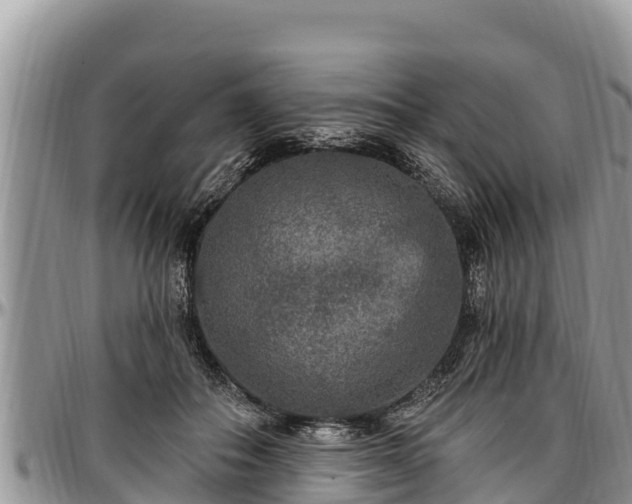 X0000097510506200802291621