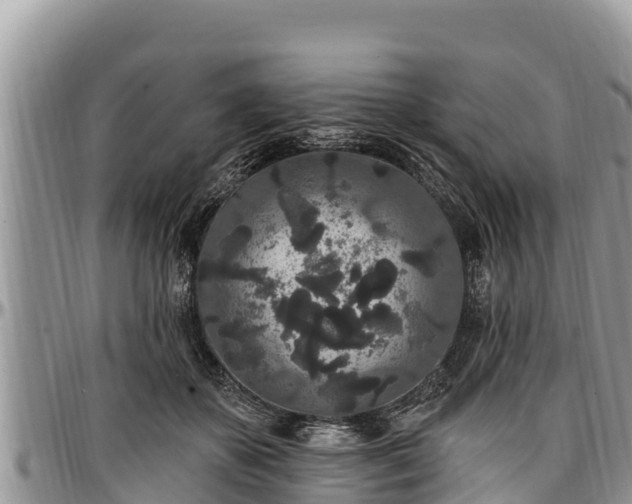 X0000097510507200802291621