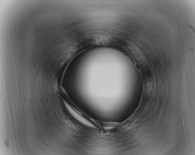 X0000097510508200802291621