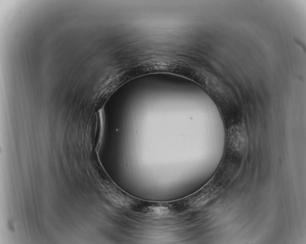 X0000097510509200802291621