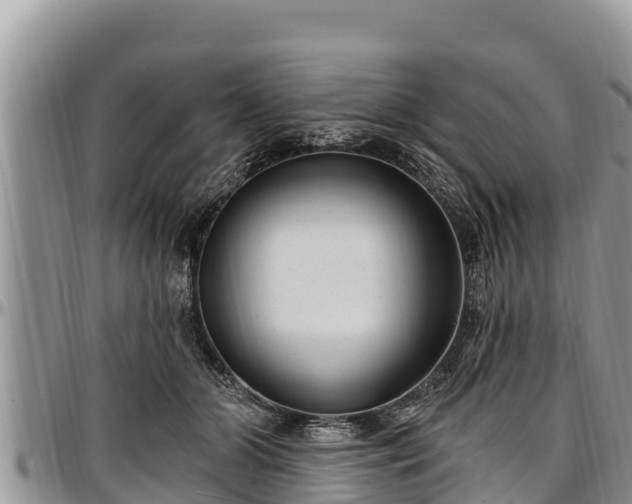 X0000097510510200802291621