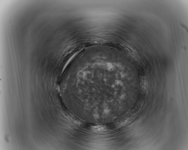 X0000097510511200802291621