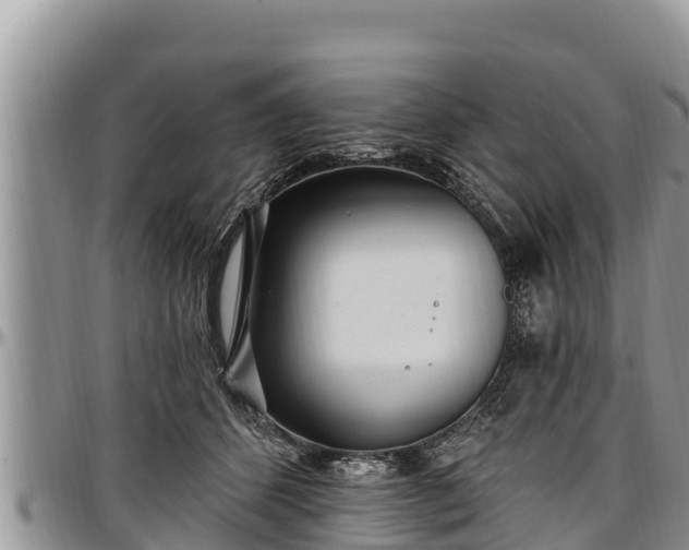 X0000097510512200802291621