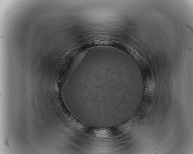 X0000097510513200802291621