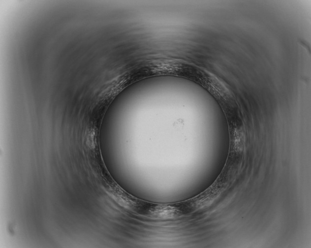 X0000097510514200802291621