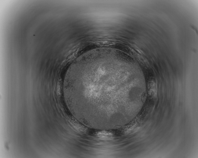 X0000097510515200802291621