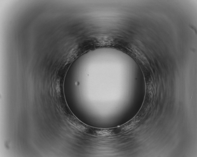 X0000097510516200802291621