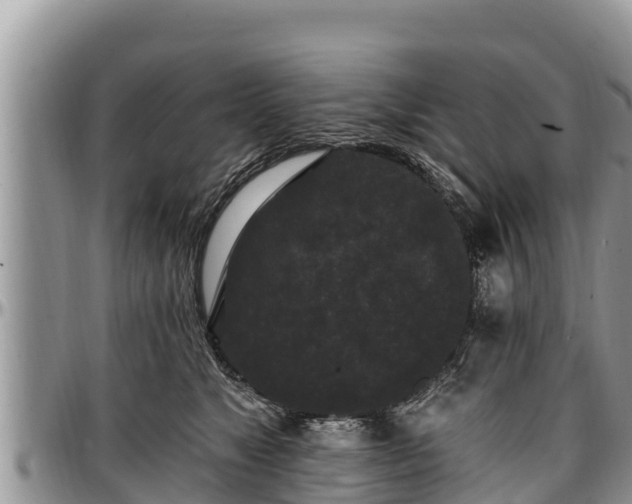 X0000097510517200802291621