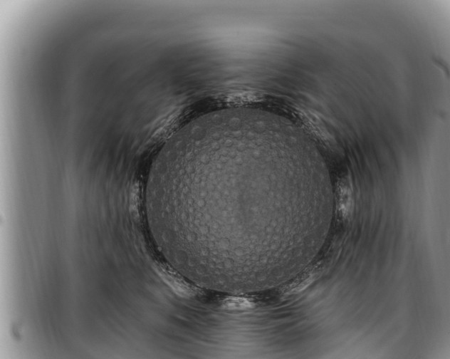 X0000097510519200802291621