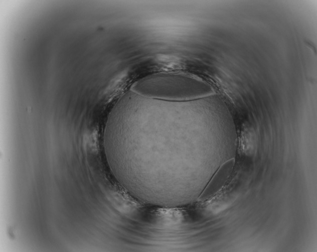 X0000097510520200802291621