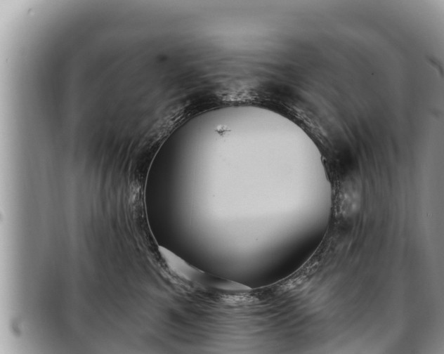 X0000097510521200802291621