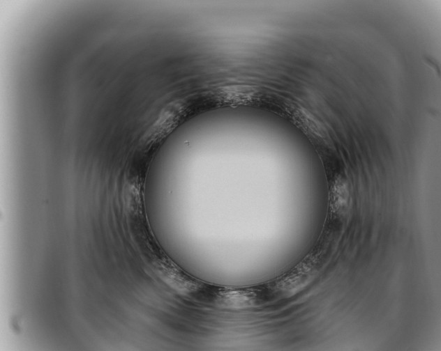 X0000097510522200802291621