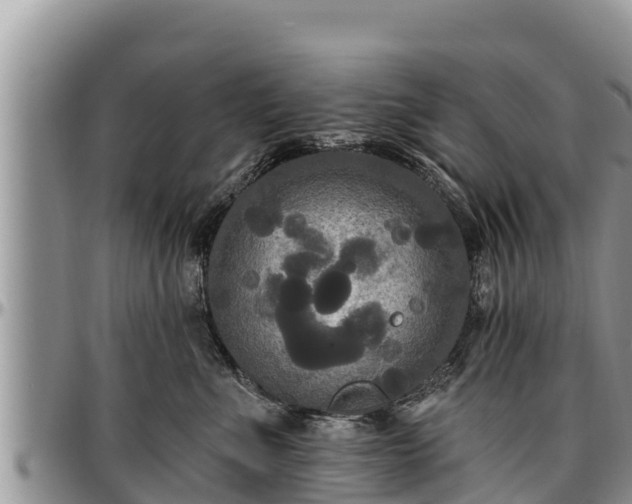 X0000097510523200802291621