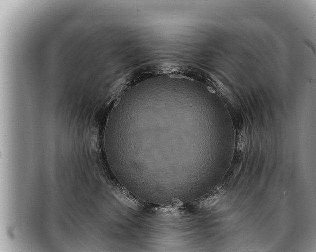 X0000097510524200802291621