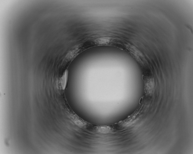 X0000097510525200802291621