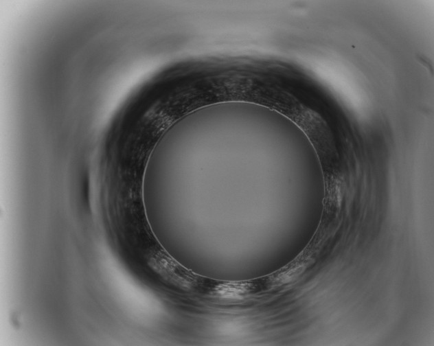 X0000097510526200802291621