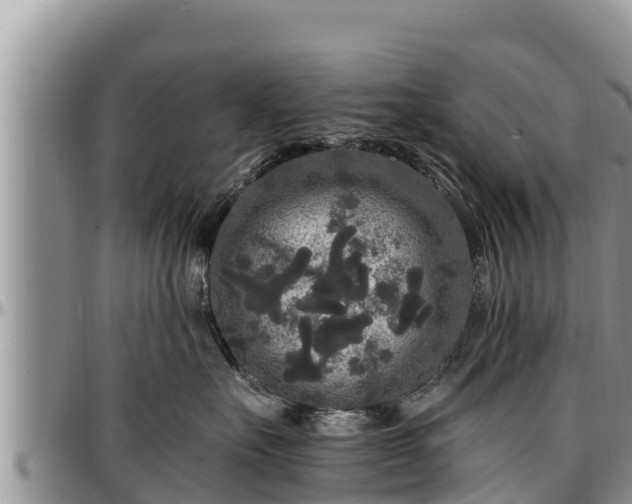 X0000097510527200802291621