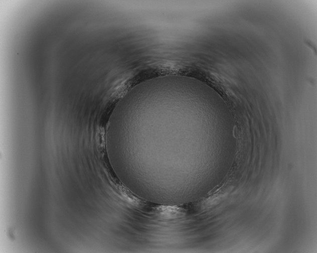 X0000097510528200802291621