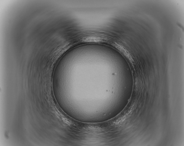 X0000097510529200802291620