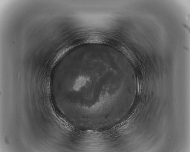 X0000097510531200802291620