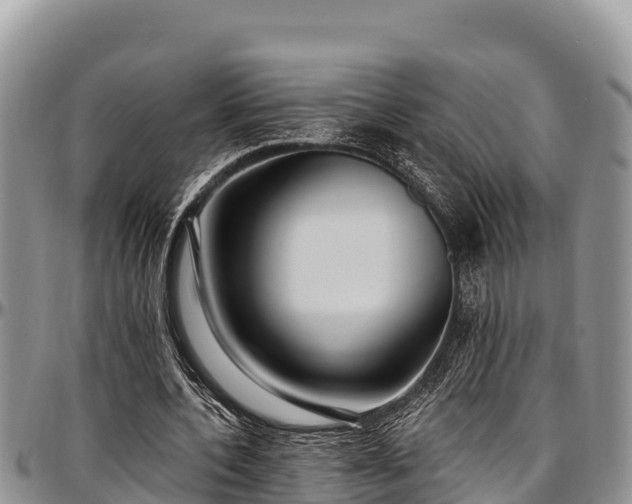 X0000097510532200802291620