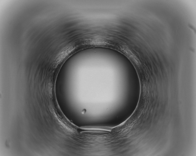 X0000097510533200802291620