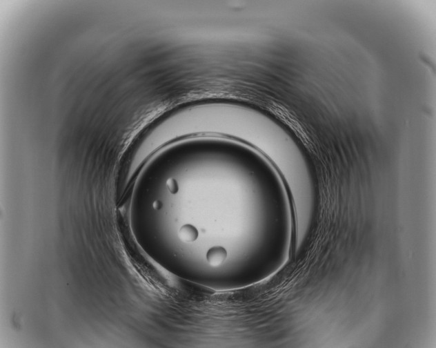 X0000097510534200802291620