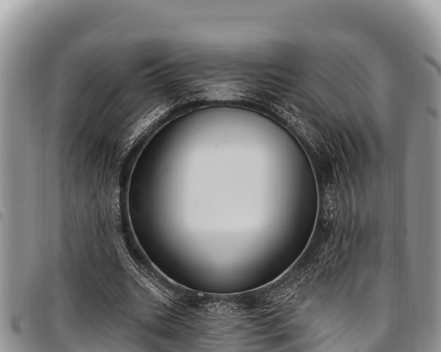 X0000097510535200802291621