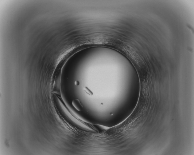 X0000097510536200802291621