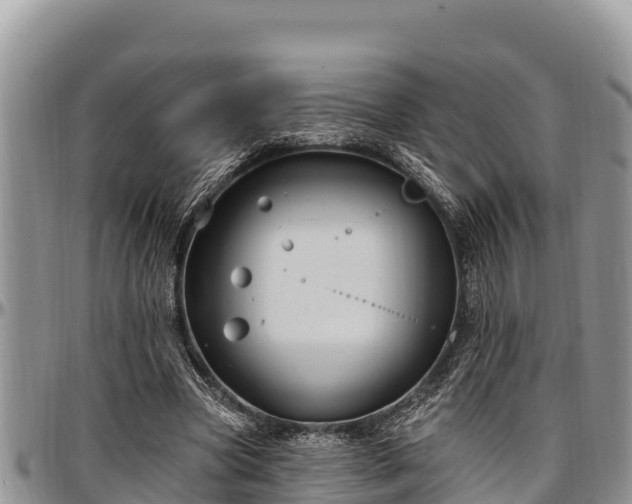 X0000097510537200802291621