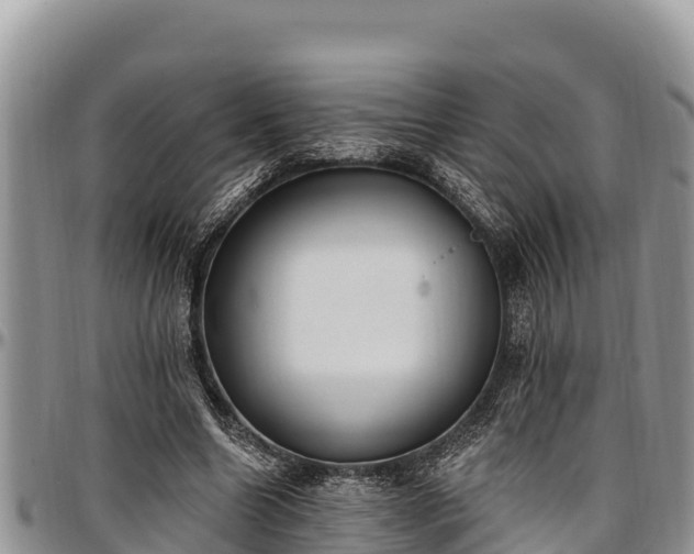 X0000097510538200802291621