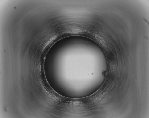 X0000097510539200802291621