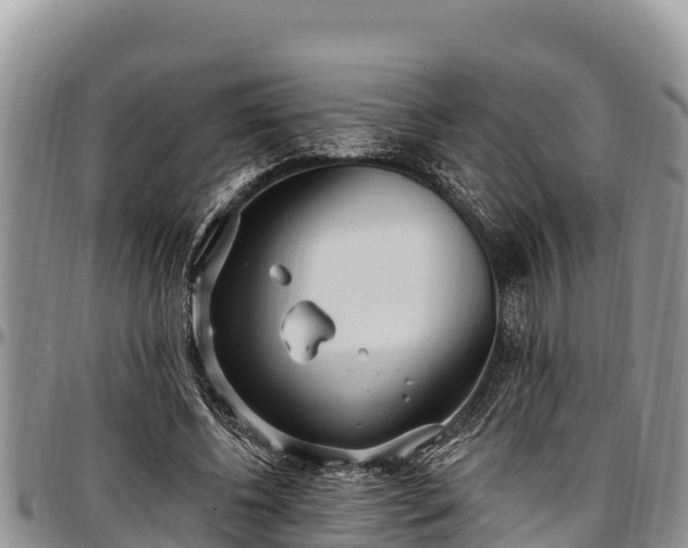 X0000097510540200802291621